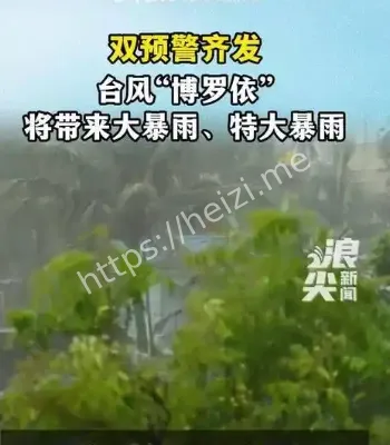 台风博罗依路径研判